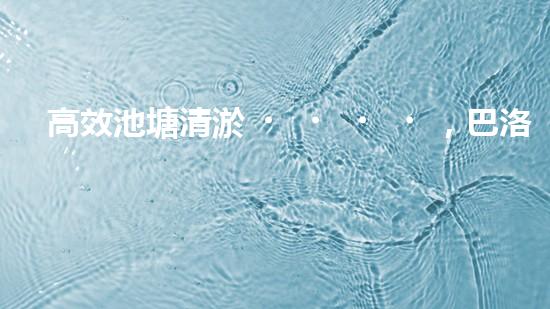 高效池塘清淤，巴洛仕設(shè)備助您一臂之力
